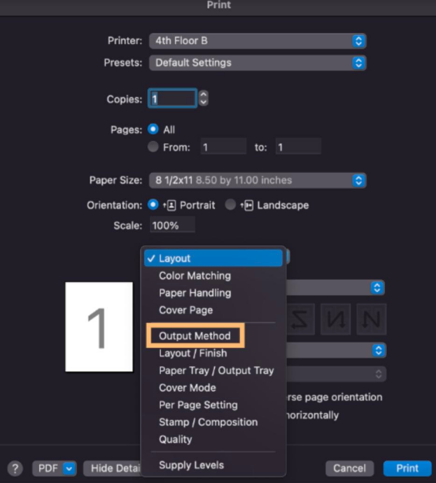 Layout Print Settings