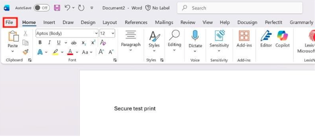File Word Print Ex